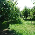Guest house Montanes