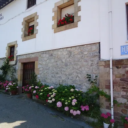 Guest house Montanes