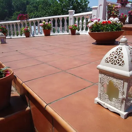 Pensionat Montanes 3*