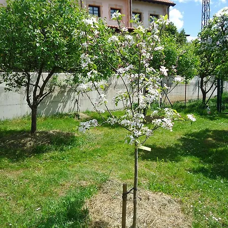 Pensionat Montanes Santillana del Mar