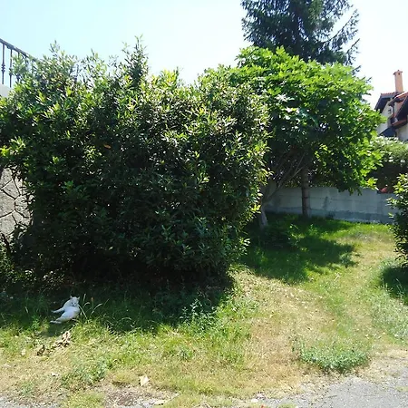 Montanes Guest house *