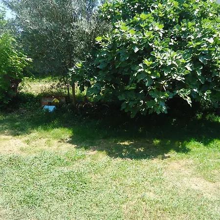 Montanes Guest house
