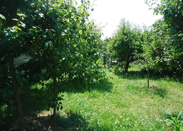 ゲストハウス Montanes