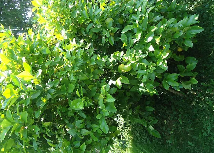 Montanes 3* サンティリャーナ・デル・マル