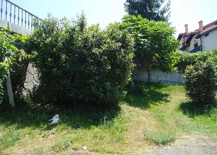 Montanes بيت ضيافة 3*