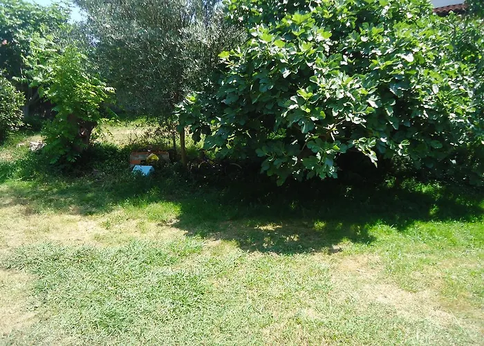 Montanes بيت ضيافة