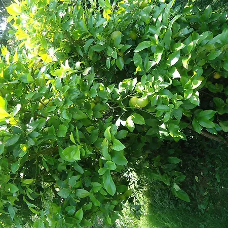 Montanes 3* Santillana del Mar