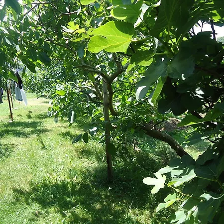 Montanes Santillana del Mar