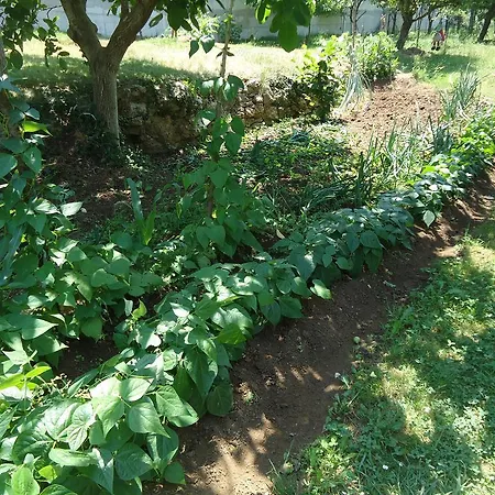 Montanes 3* Santillana del Mar