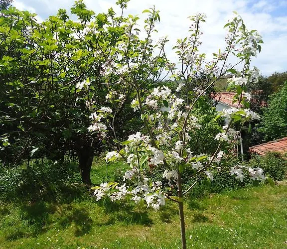 Montanes סנטילנה דל מר