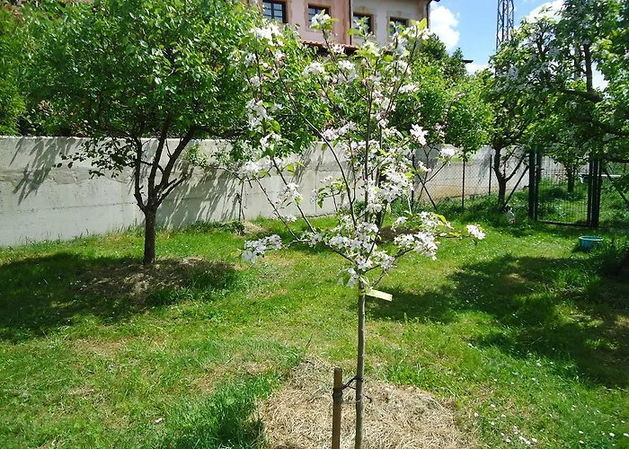 בית הארחה Montanes סנטילנה דל מר